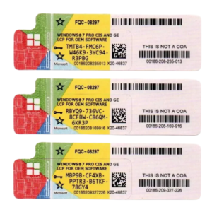 Windows 10 Pro Sticker License