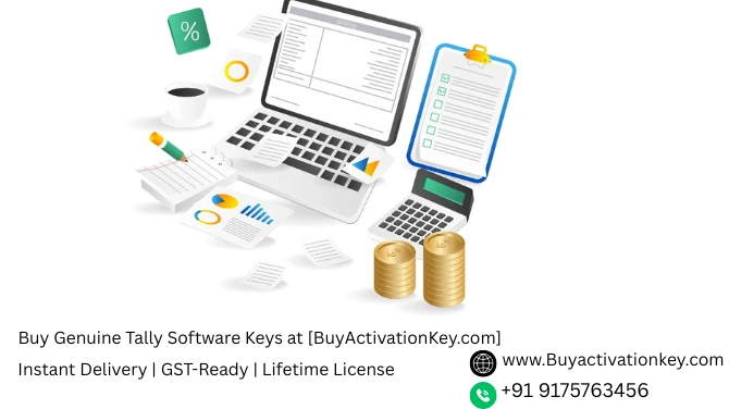 Balance sheet view in Tally software showing assets and liabilities breakdown